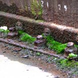 Seminarium Belse, polimery, elastomery, regeneracja, naprawa