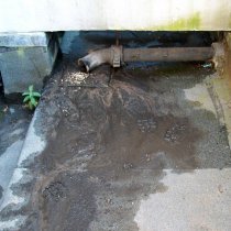 Uszkodzona powierzchnia dachu z przeciekami w miejscu połączeń materiału Uszkodzona powierzchnia dachu z przeciekami w miejscu połączeń materiału