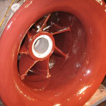 Ślimak zabezpieczony przed kwasem solnym Ślimak zabezpieczony przed kwasem solnym