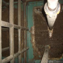 Znaczne uszkodzenia korozyjne dna sitowego wymiennika ciepła Znaczne uszkodzenia korozyjne dna sitowego wymiennika ciepła