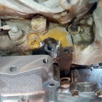 Oczyszczona i schropowacona obudowa śruby