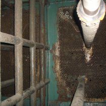 Skorodowane dno sitowe