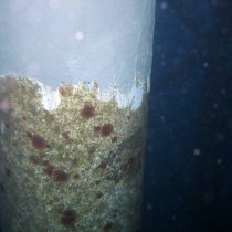 Skorodowana noga platformy pod linią wody