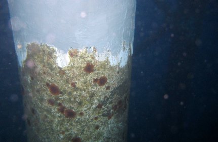 Noga platformy wydobywczej w stałym zanurzeniu